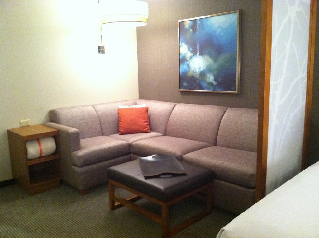 Hyatt Place Detroit/Novi Bilik gambar